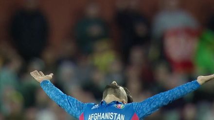 Wicket - Marcus Stoinis - Australia v Afghanistan ICC T20WC 2022