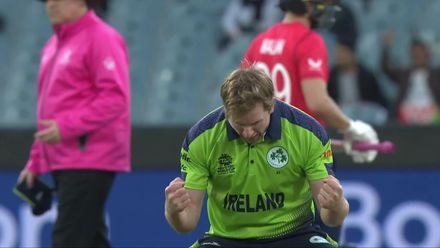 Wicket - Dawid Malan - Ireland v England ICC T20WC 2022